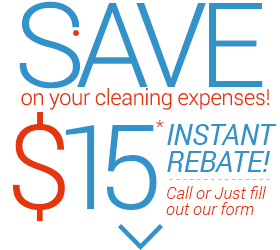 save cleaning expenses